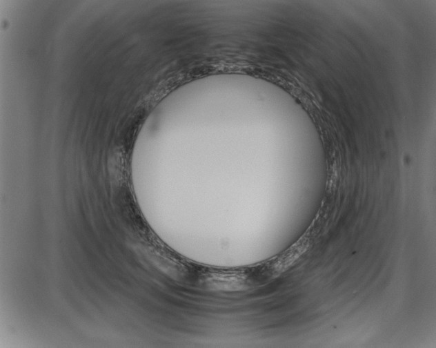 X0000087670659200705040727