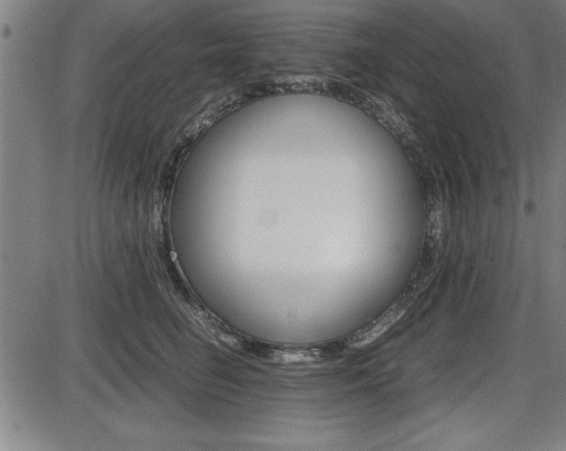 X0000087670662200705040727