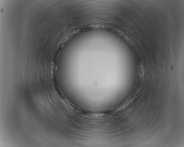 X0000087670664200705040727