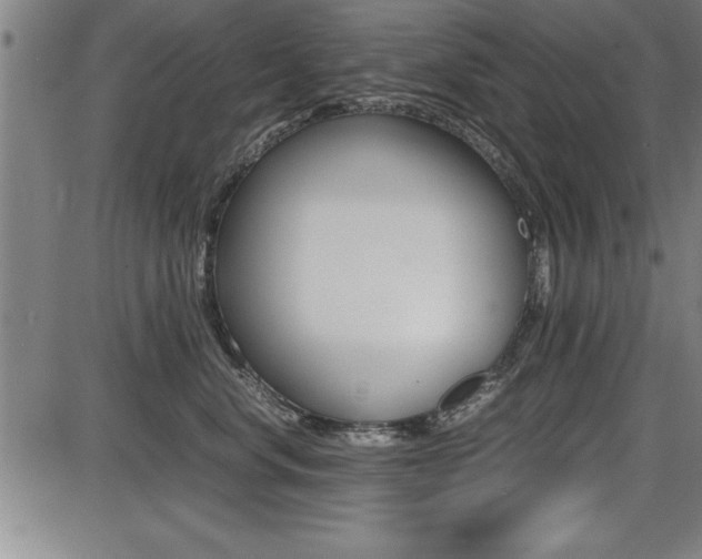 X0000087670668200705040727