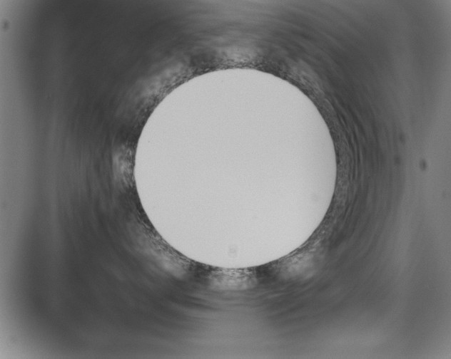 X0000087670672200705040727