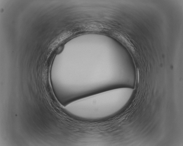 X0000087670675200705040726