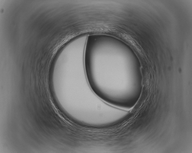 X0000087670677200705040726