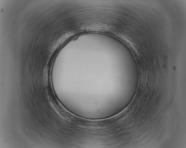 X0000087670678200705040726