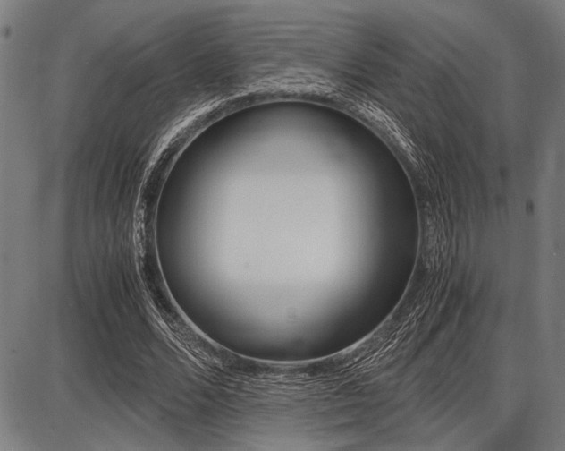 X0000087670680200705040726