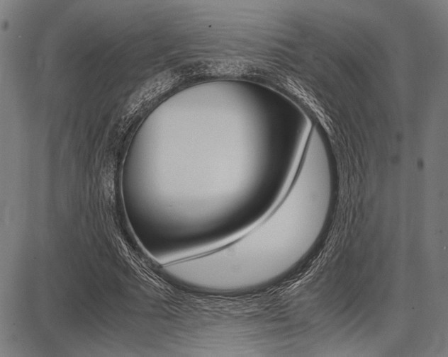 X0000087670681200705040726