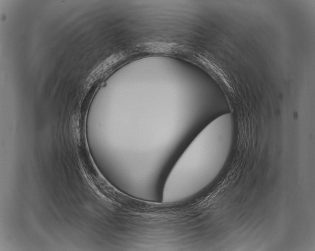 X0000087670682200705040726