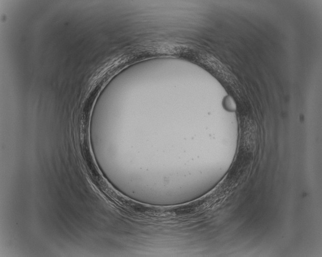 X0000087670683200705040726