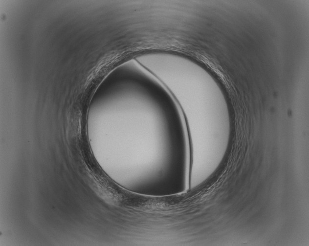 X0000087670685200705040726