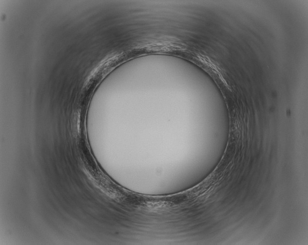 X0000087670686200705040726