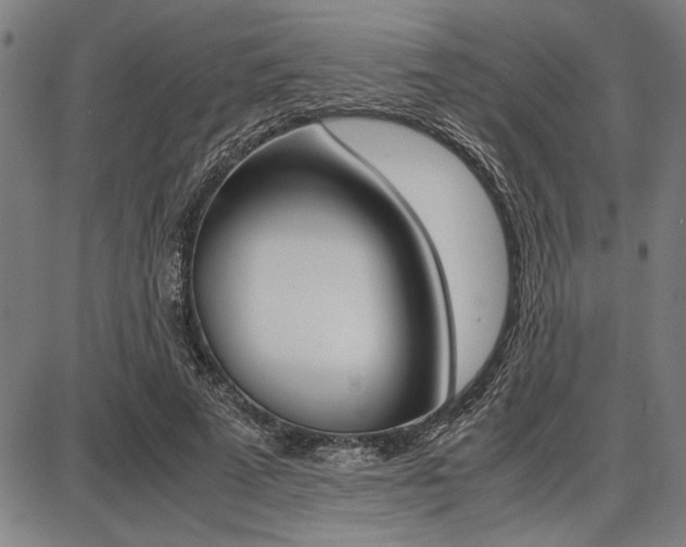 X0000087670689200705040726