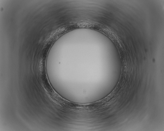 X0000087670690200705040726