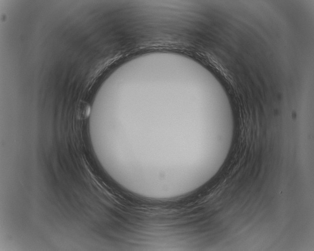 X0000087670692200705040726