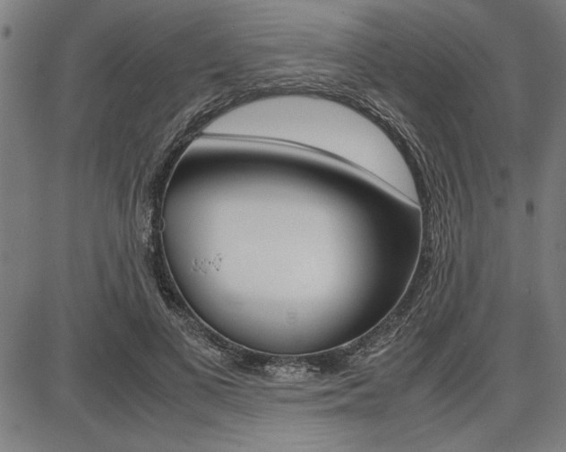 X0000087670693200705040726