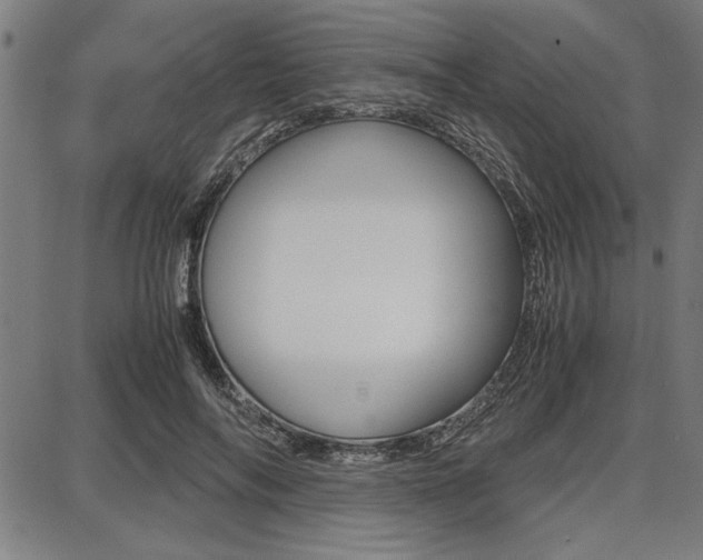 X0000087670694200705040726
