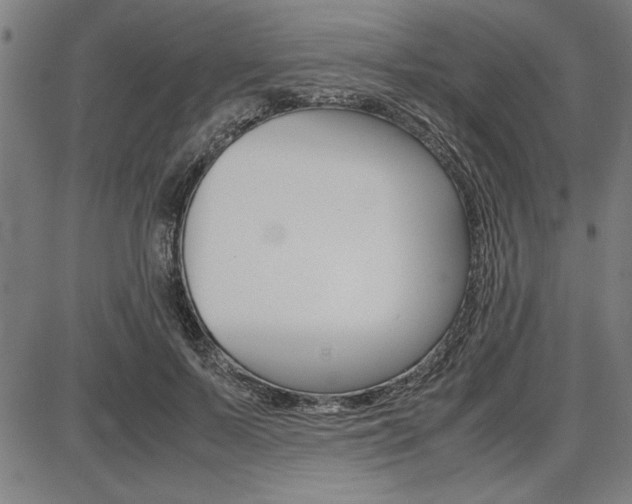X0000087670695200705040726