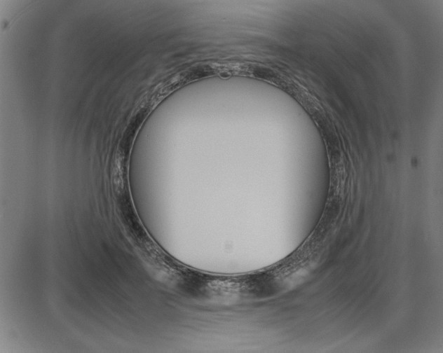 X0000087670699200705040726
