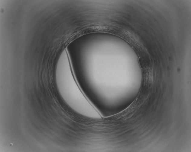 X0000087670700200705040726