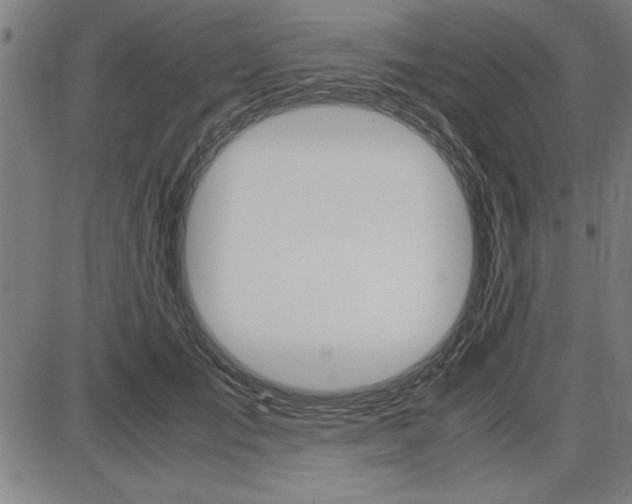 X0000087670701200705040726