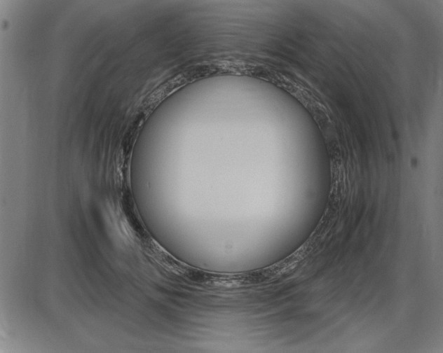 X0000087670702200705040725