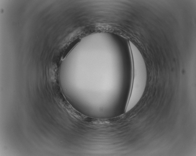 X0000087670712200705040725
