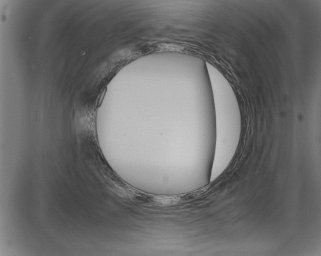 X0000087670713200705040725
