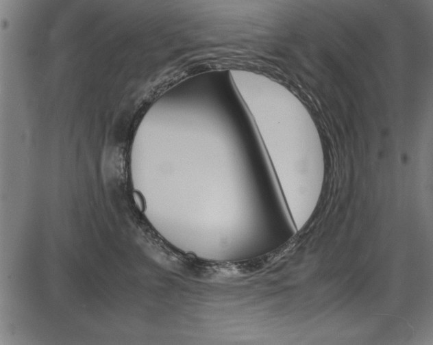 X0000087670715200705040725