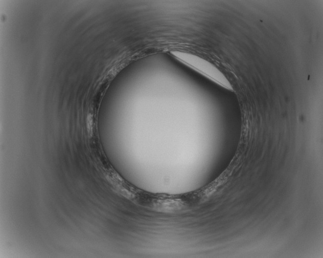 X0000087670716200705040725