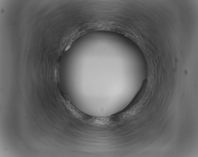X0000087670720200705040725