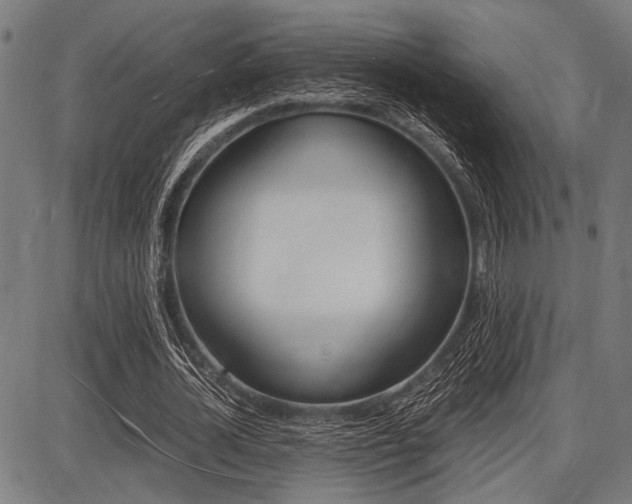 X0000087670724200705040724