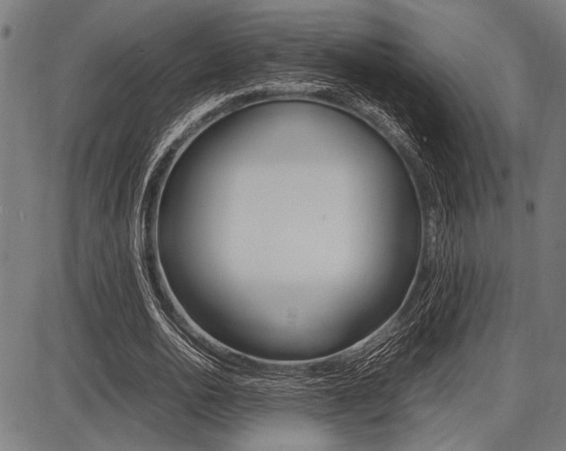 X0000087670726200705040724