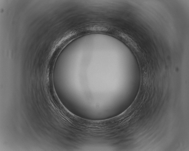 X0000087670727200705040725