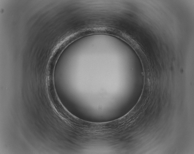X0000087670728200705040725