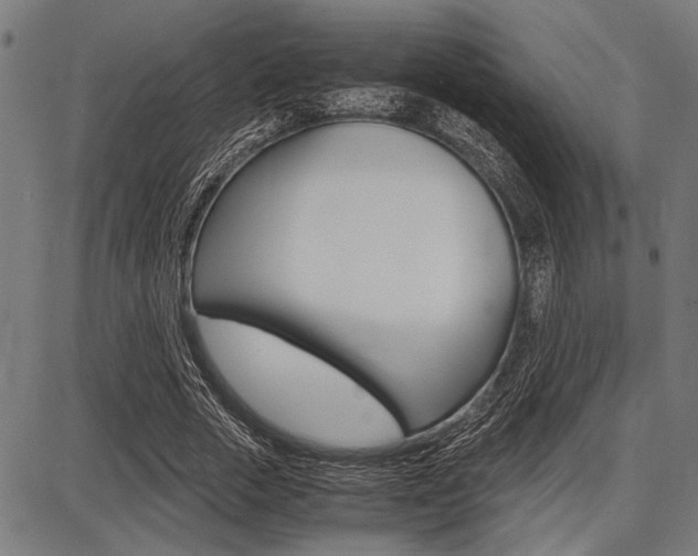 X0000087670729200705040725