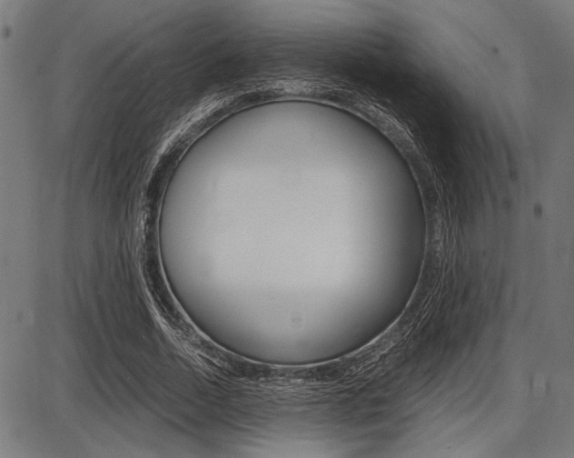 X0000087670730200705040725