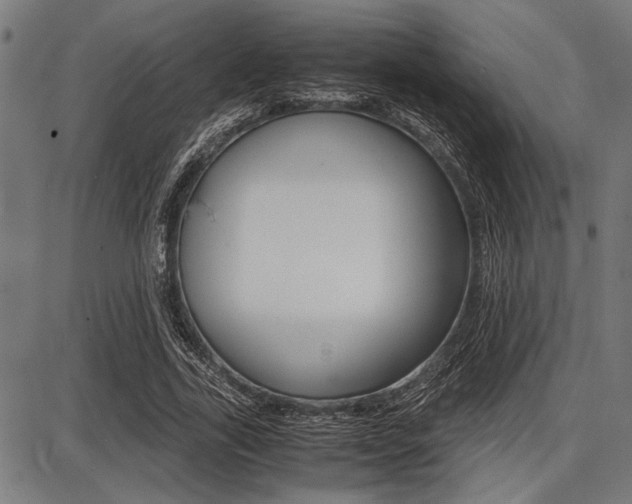 X0000087670731200705040725