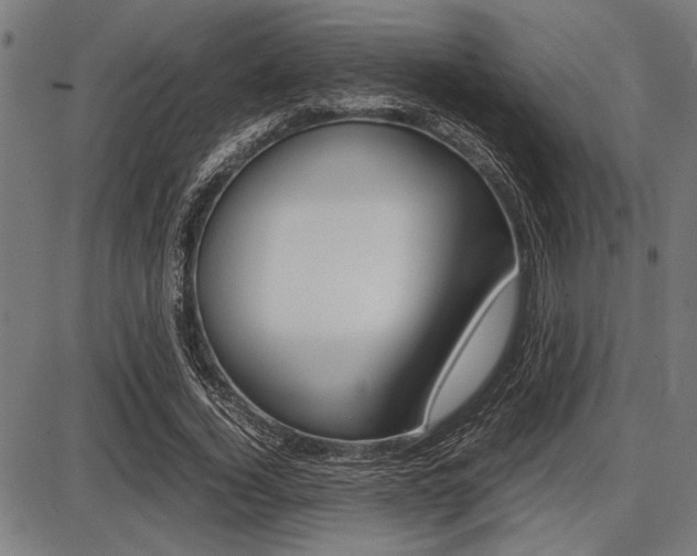 X0000087670732200705040725