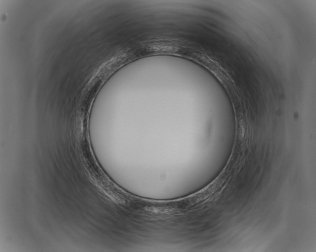 X0000087670733200705040725