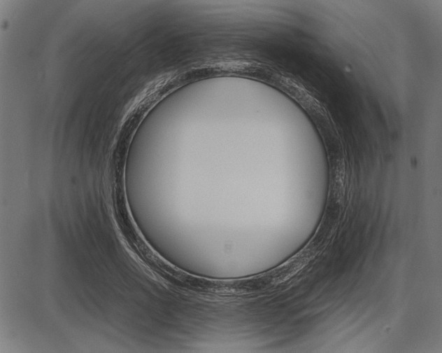 X0000087670734200705040725