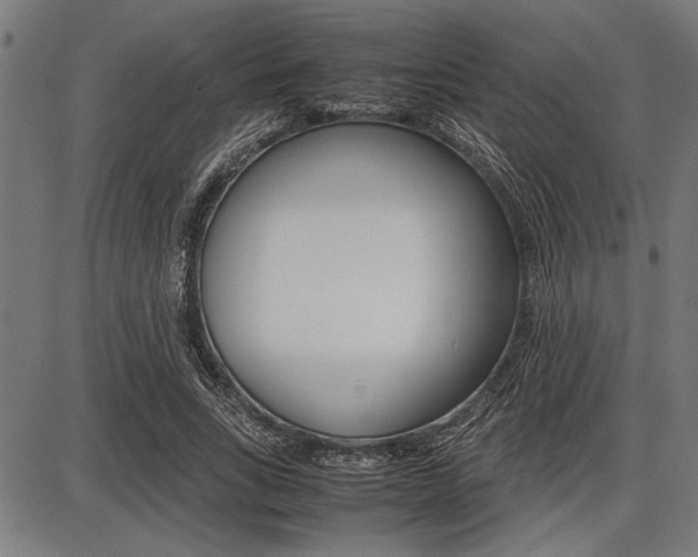 X0000087670735200705040725