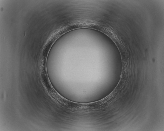 X0000087670736200705040725