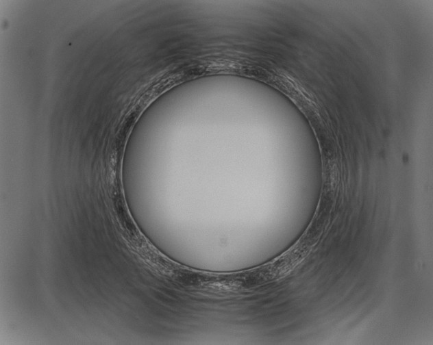 X0000087670737200705040725