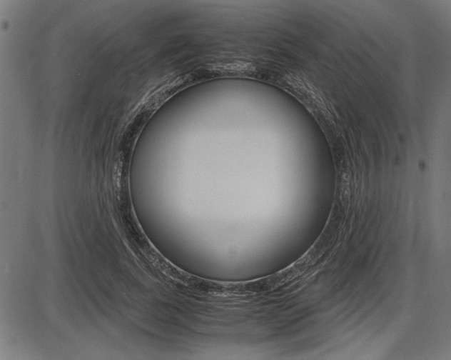 X0000087670739200705040725