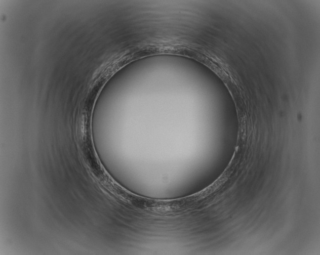 X0000087670740200705040725