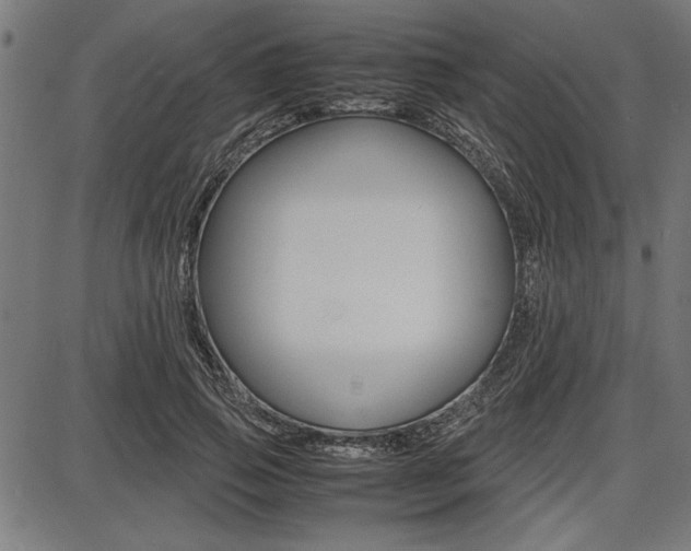 X0000087670741200705040725