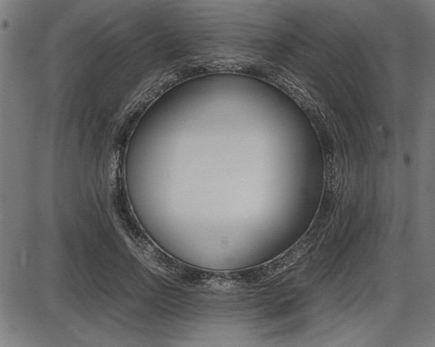 X0000087670742200705040725
