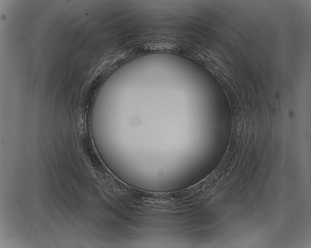 X0000087670743200705040725
