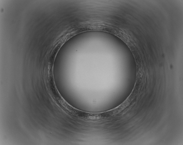 X0000087670744200705040725
