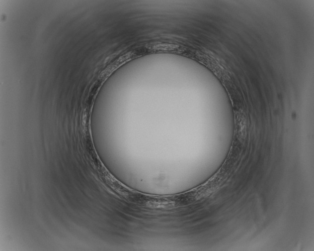 X0000087670745200705040725