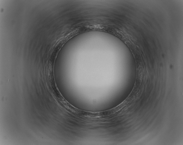 X0000087670747200705040725